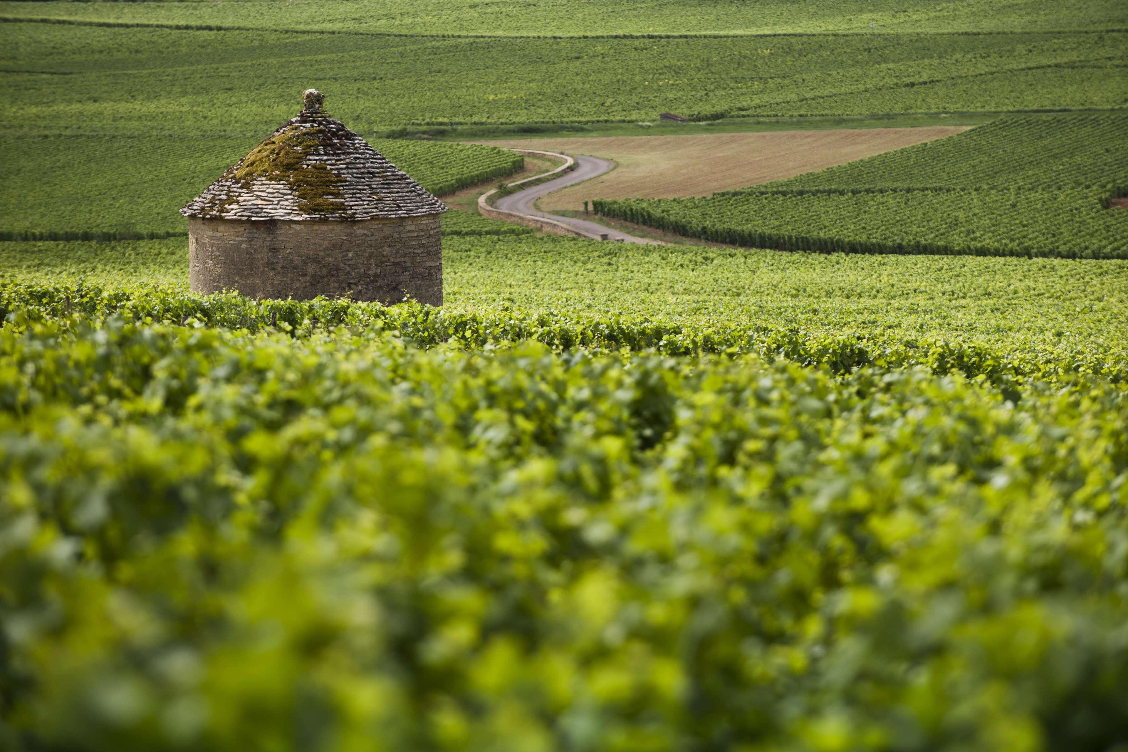 Kyriad Beaune Бон Екстериор снимка